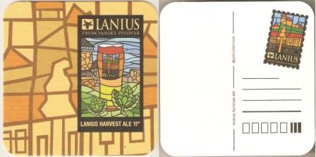Lanius-20