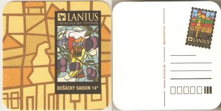 Lanius-25